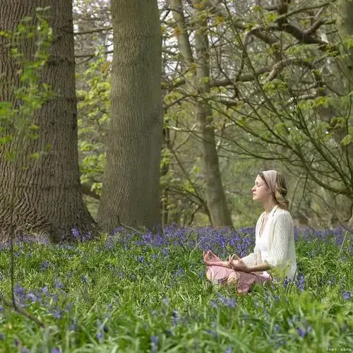 u=2115002617,1926441123&fm=253&fmt=auto&app=138&f=jpeg