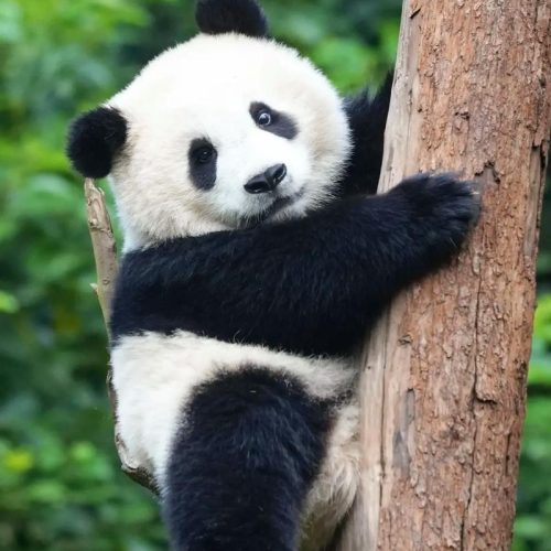 u=213102150,2107717938&fm=253&app=138&f=jpeg